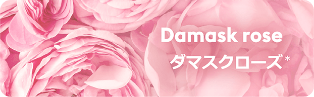 Damask rose ダマスクローズ(*)