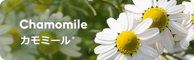 Chamomile カモミール(*)