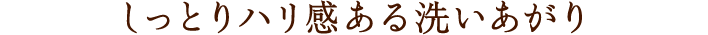 しっとりハリ感ある洗いあがり