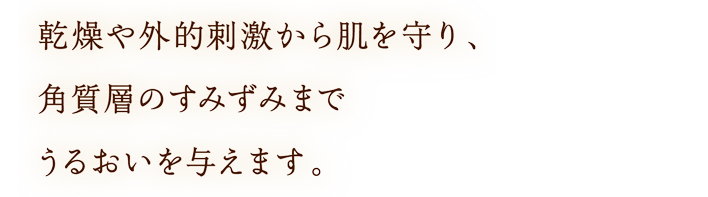 乾燥や外的刺激から肌を守り、角質層のすみずみまでうるおいを与えます。