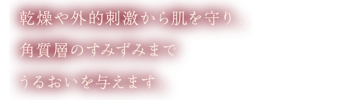 乾燥や外的刺激から肌を守り、角質層のすみずみまでうるおいを与えます。