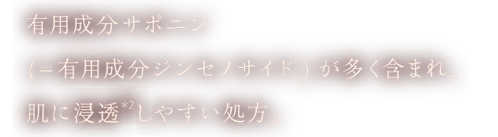 有用成分サポニン(＝有用成分ジンセノサイド)が多く含まれ、肌に浸透(＊2)しやすい処方。