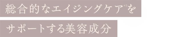 総合的なエイジングケア(＊3)をサポートする美容成分