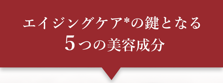 エイジングケア＊の鍵となる５つの美容成分