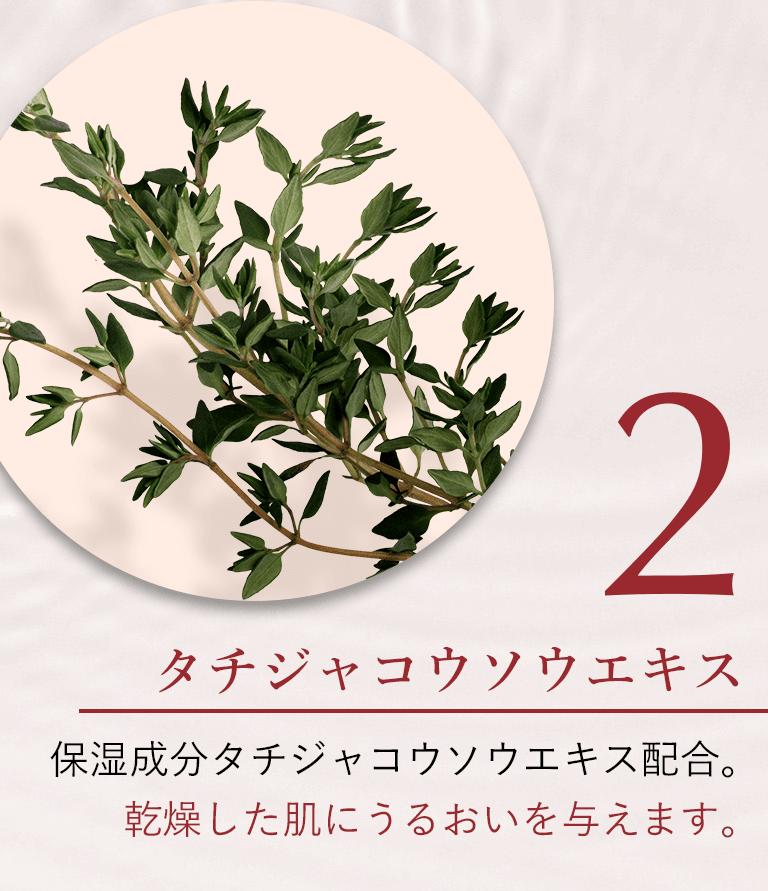 タチジャコウソウエキス保湿成分タチジャコウソウエキス配合。乾燥した肌にうるおいを与えます。