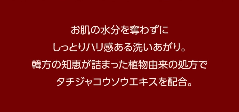 チョゴンジン　ソセン　洗顔フォーム