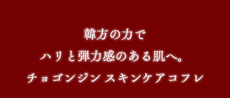チョゴンジンソセンコフレ2023