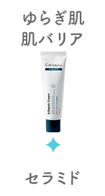 ゆらぎ肌・肌バリア／セラミド