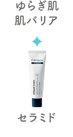 ゆらぎ肌・肌バリア／セラミド