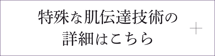 特殊な肌伝達技術の詳細はこちら