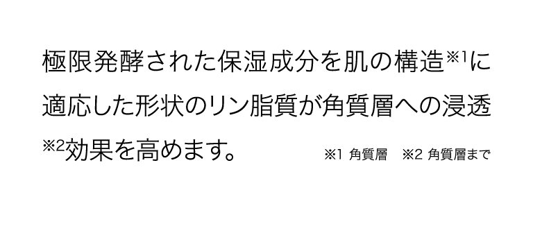 極限発酵された保湿成分を肌の構造※1に適応した形状のリン脂質が角質層への浸透※2効果を高めます。※1 角質層 ※2 角質層まで