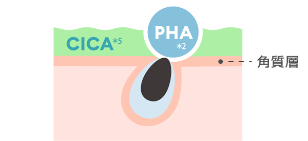 PHA(*2)とは?