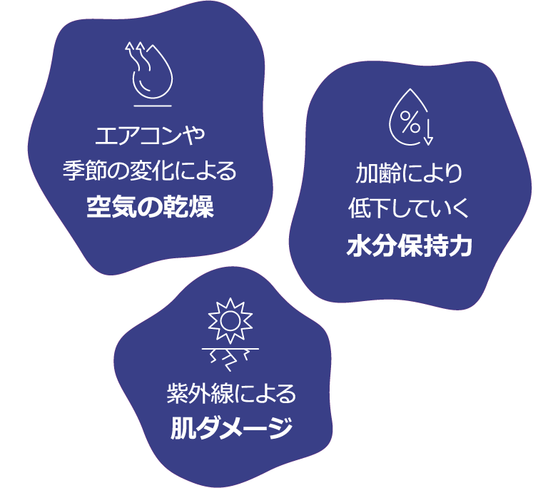 エアコンや季節の変化による空気の乾燥 加齢により低下していく水分保持力 紫外線による肌ダメージ