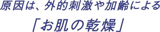 原因は、外的刺激や加齢による「お肌の乾燥」