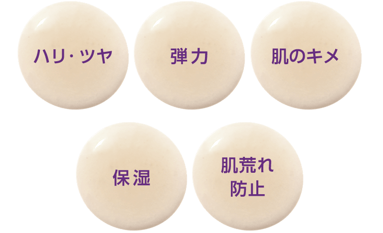 ハリ・ツヤ 弾力 肌のキメ 保湿 肌荒れ防止