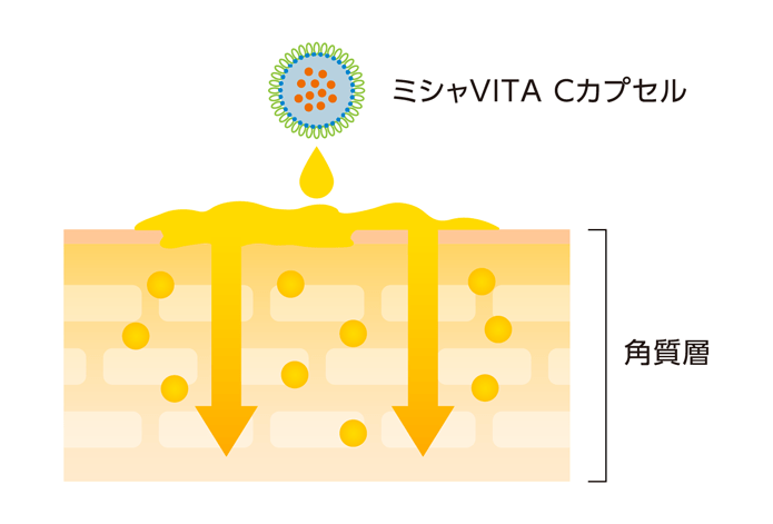 ナノカプセル構造とは