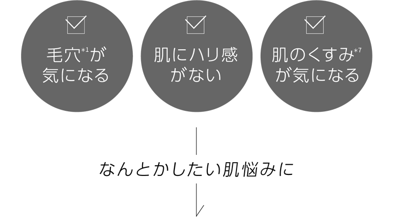 毛穴(*1)が気になる 肌にハリ感がない 肌のくすみ(*7)が気になる なんとかしたい肌悩みに