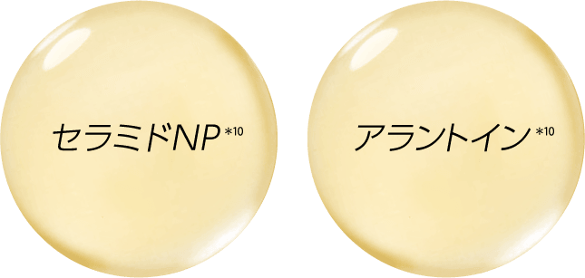 セラミドNP*10アラントイン*10