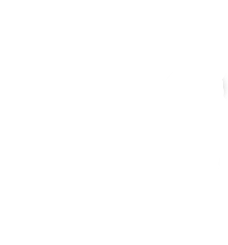 試して実感これが大人クッション