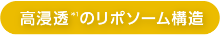 高浸透*1のリポソーム構造