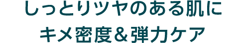 しっとりツヤのある肌にキメ密度＆弾力ケア