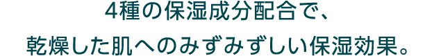 ４種の保湿成分配合で、乾燥した肌へのみずみずしい保湿効果。
