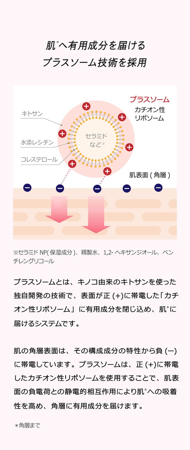 肌＊への有用成分を届けるプラスソーム技術を採用 プラスソームとは、キノコ由来のキトサンを使った独自開発の技術で、表面が正(＋)に帯電した「カチオン性リポソーム」に有用成分を閉じ込め、肌＊に届けるシステムです。肌の角層表面は、その構成成分の特性から負(ー)に帯電しています。プラスソームは、正(＋)に帯電したカチオン性リポソームを使用することで、肌表面の負電荷との静電的相互作用により肌＊への吸着性を高め、角層に有用成分を届けます。＊ 角層まで