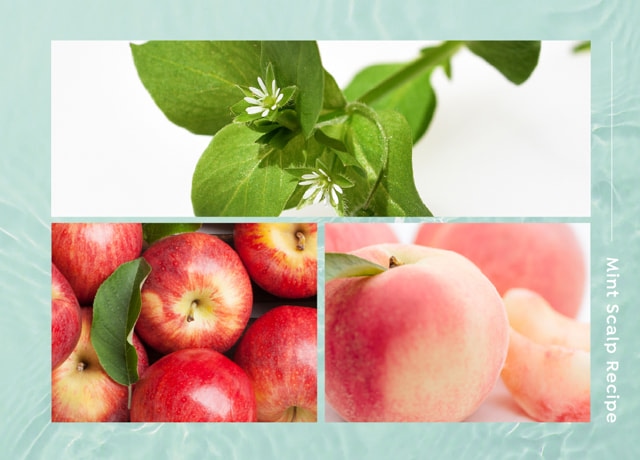 アピュー ミント スカルプヘアビネガートリートメント