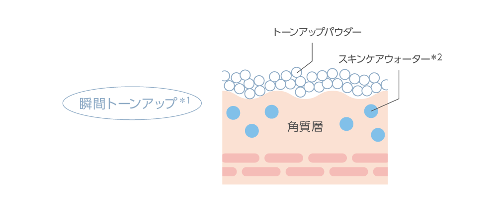 瞬間トーンアップ(＊1)