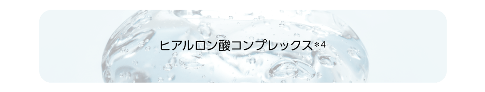 10種のヒアルロン酸コンプレックス(＊4)