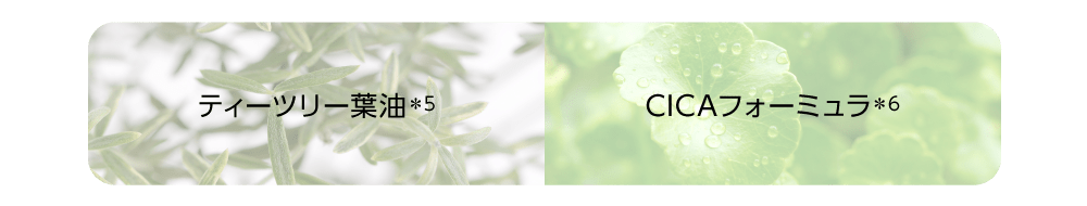 ティーツリー葉油(＊5)／CICAフォーミュラ(＊6)