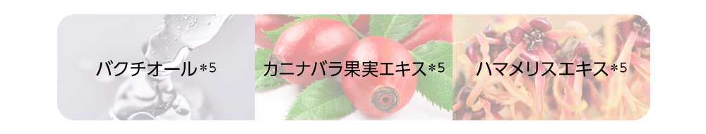 バクチオール(＊5)／ハマメリスエキス(＊5)／カニナバラ果実エキス(＊5)