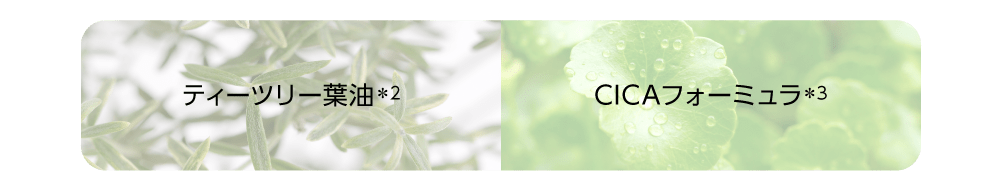 ティーツリー葉油×CICAフォーミュラ