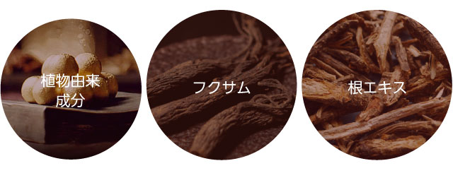 ミシャチョゴンジン