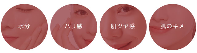 ミシャチョゴンジン
