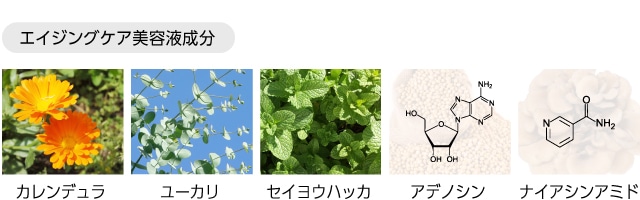 Mクッションファンデーション プロカバー | MISSHA JAPAN