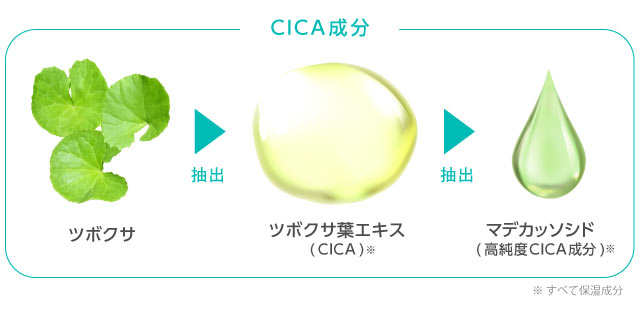 アピューCICAパウダーパクト