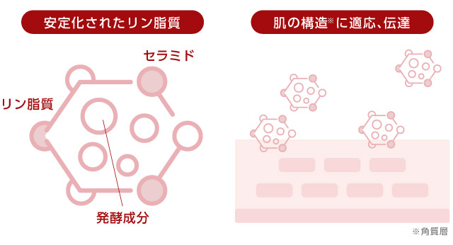 ミシャレボリューション5th