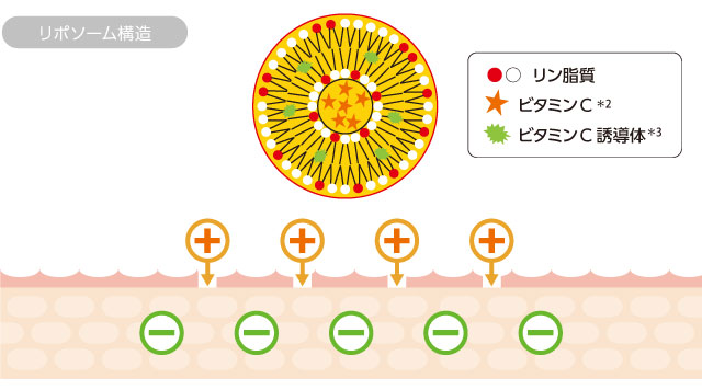 ミシャ ビタシープラス リポソーム
