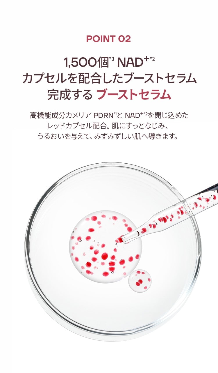 ミシャ PDRN NAD+ ファーミング リペア 美容液
