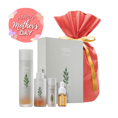 【母の日限定】ミシャ AMセットR（AMセット）