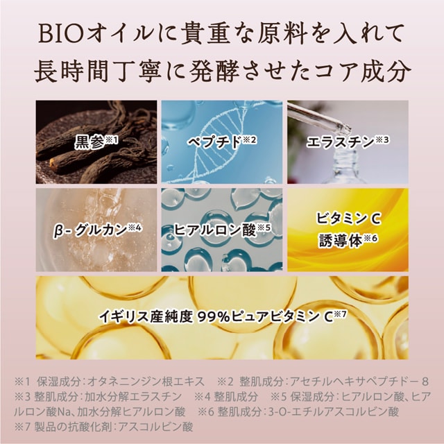 2025 チョゴンジンヨンアンコフレ ヨンアンコフレ