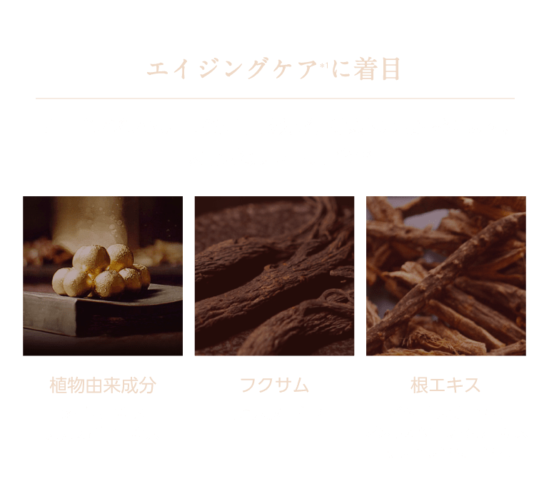 ミシャチョゴンジンスキンケア