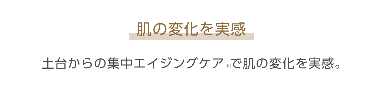 ミシャレボリューションエンリッチ