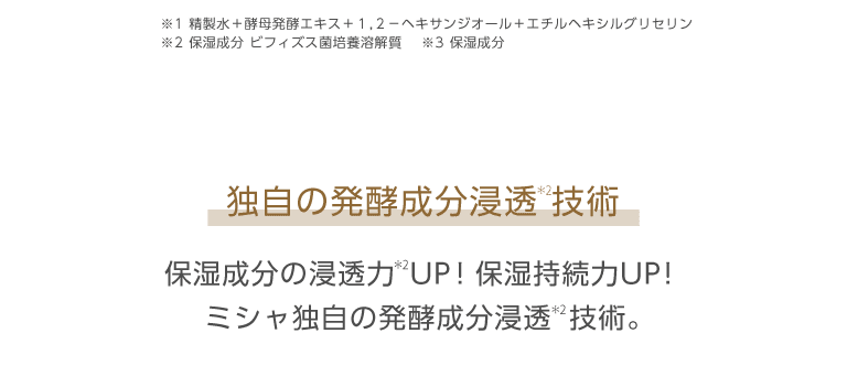 ミシャレボリューションエンリッチ