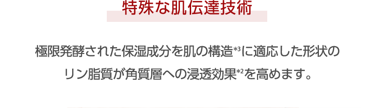 特殊な肌伝達技術 極限発酵された保湿成分を肌の構造＊3に適応した形状のリン脂質が角質層への浸透効果＊2を高めます。
