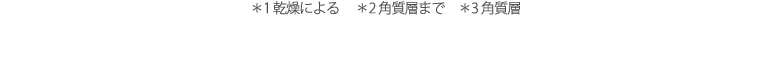 ＊1 乾燥による ＊2 角質層まで ＊3 角質層