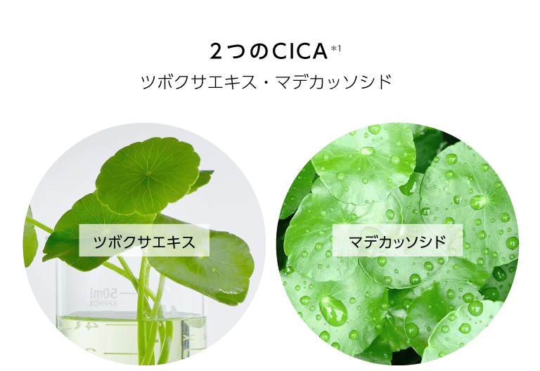 マデカソシリーズ トムとジェリーデザイン