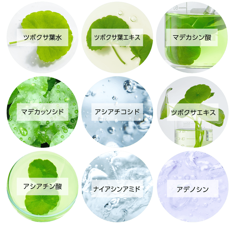 マデカソシリーズ トムとジェリーデザイン
