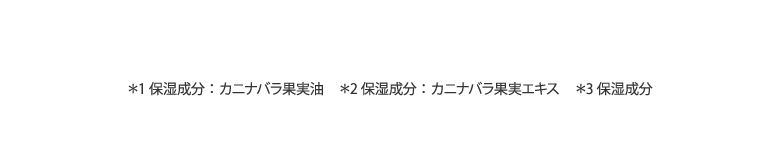 ＊1 保湿成分：カニナバラ果実油　＊2 保湿成分：カニナバラ果実エキス　＊3 保湿成分